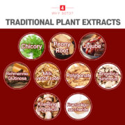 BOTO 6 years Korea Red Ginseng Sticks  (30 Sticks) - Imagen 4